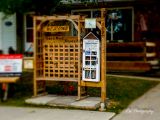 1-little library 011