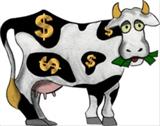 cashcow